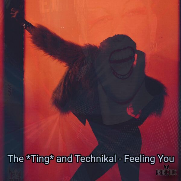 Feeling You - The Ting n Technikal